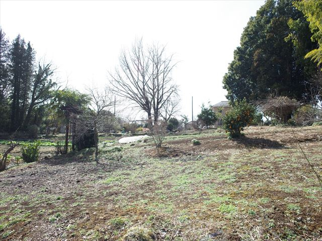 東松山市松山　土地1030坪の外観