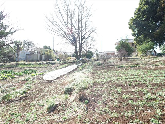 東松山市松山　土地1030坪の外観