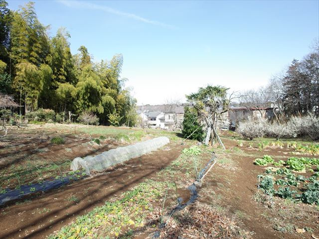 東松山市松山　土地1030坪の外観