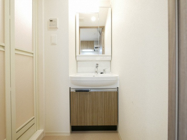 プレサンス長堀通グレイタスの洗面所