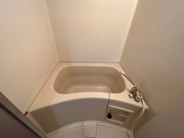 シャトレ２１の浴室