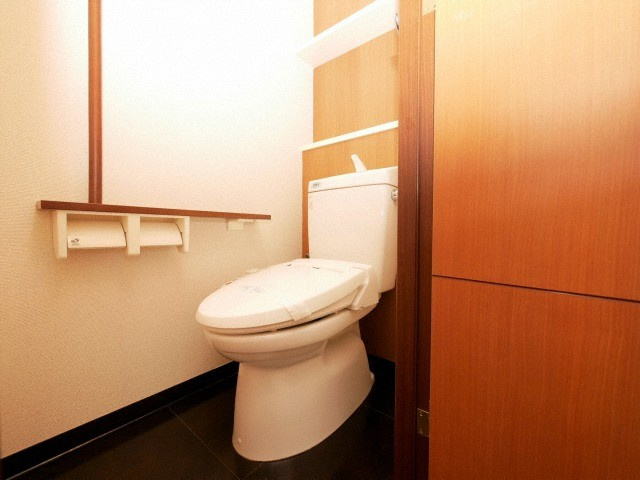 大阪市中央区瓦屋町３丁目の賃貸マンションのトイレ