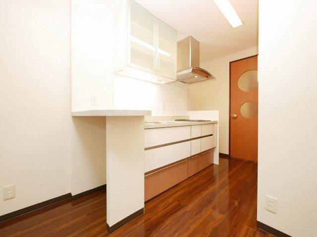 大阪市中央区瓦屋町３丁目の賃貸マンションのキッチン