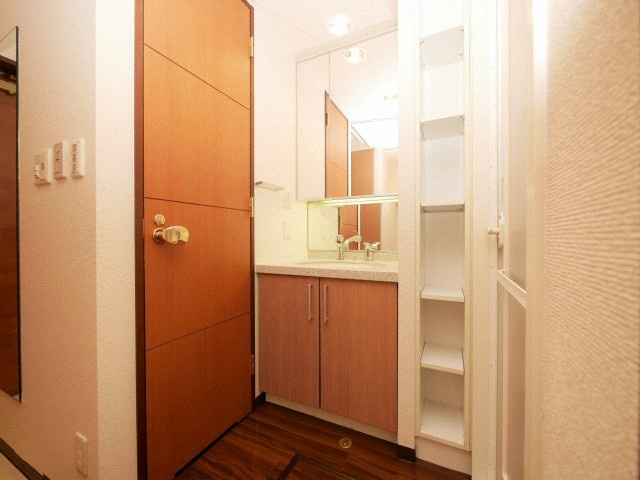 大阪市中央区瓦屋町３丁目の賃貸マンションの洗面所