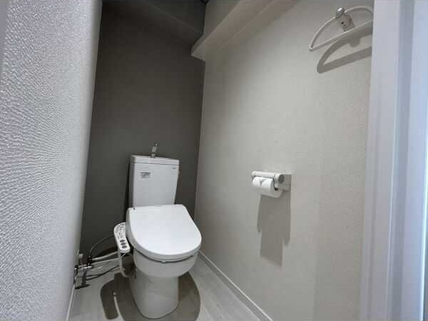 SENOHEN・TOYOAKE　　刈谷市近郊の賃貸はクラスホーム刈谷店のトイレ|同物件の別部屋になります。