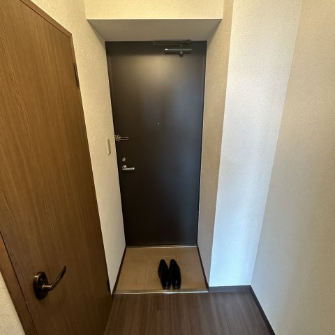 Ｅ．Ｓアベニュー　ヒラノアパートメントの玄関