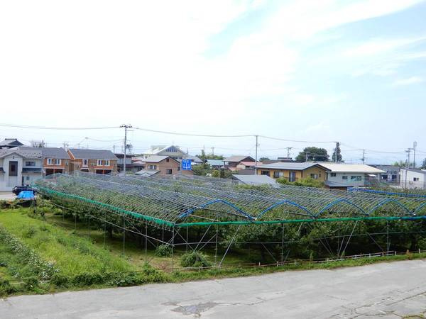 ビレッジハウス六田2号棟のその他|ビレッジハウスの同一物件・同一タイプの間取りの写真です