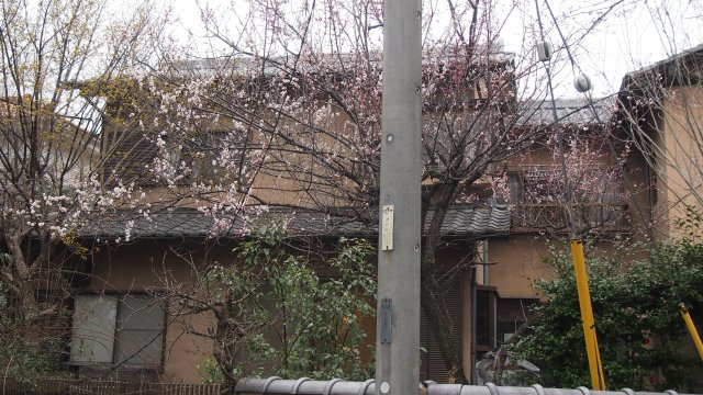 【庭】 | 比企郡吉見町長谷　中古戸建