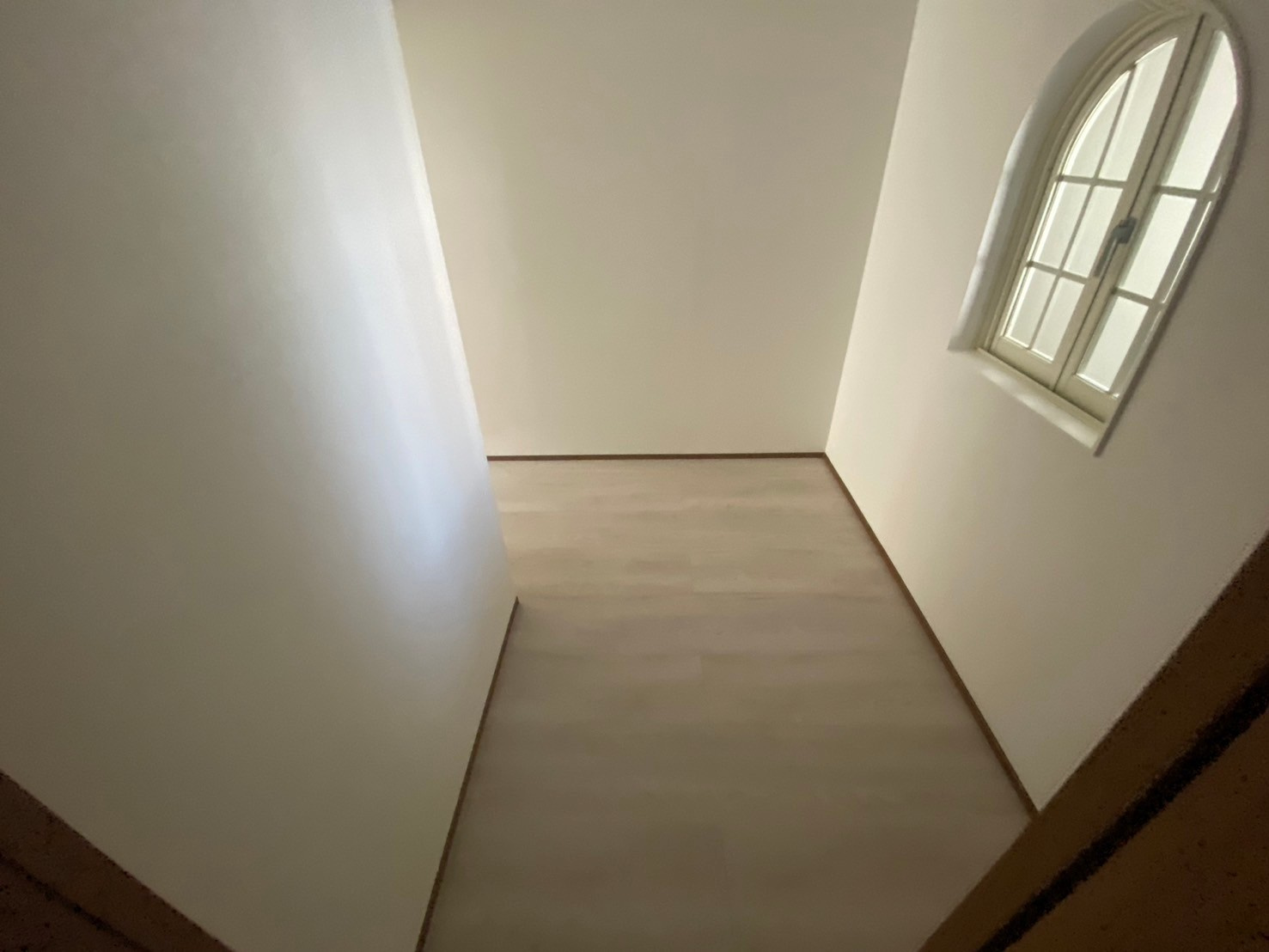 Queue de chien 2erのその他