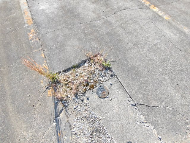 売地　平下平窪大念仏のその他|水道　止水栓