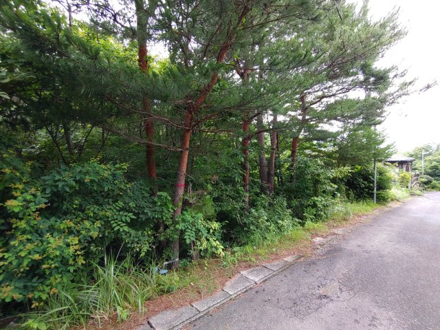 売地　小川町西小川の外観