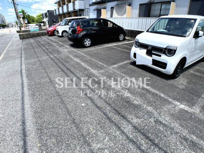  | シェリール羽根