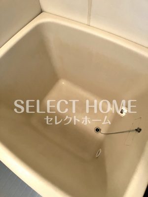  | シェリール羽根