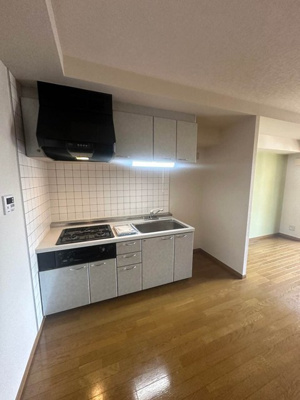 【キッチン】 | Salida仲町台/サリーダ仲町台 | 白を基調としたシステムキッチンです！場所を取るお鍋やお皿もたっぷり収納できてお料理がはかどります！