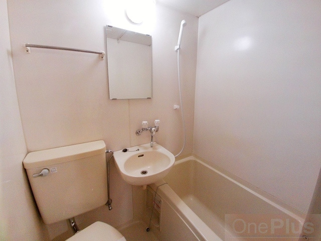 ドミール青木の浴室