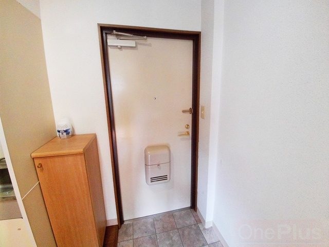 ドミール青木の玄関