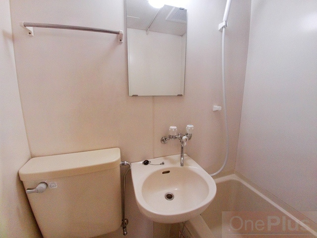 ドミール青木の洗面所