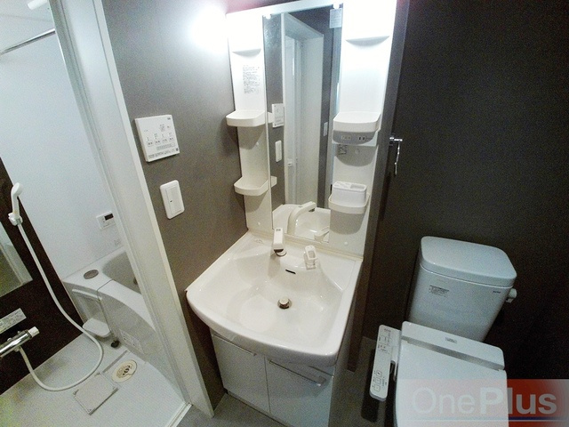 Loft OGの洗面所