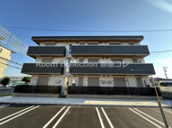 グレイスカメリアの画像