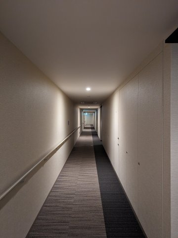 ザ・パークハウス晴海タワーズ ティアロレジデンスのその他共用部分|共用内廊下