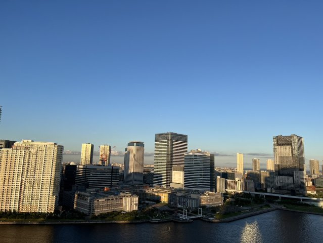 ザ・パークハウス晴海タワーズ ティアロレジデンスの展望|バルコニーからの眺望（午後）