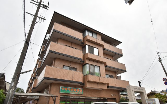 モアライフ酒井松