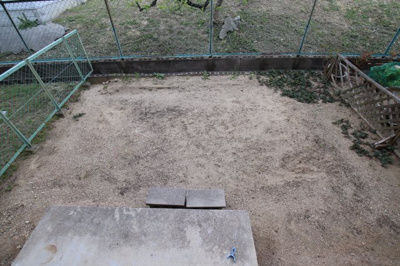 【庭】 | 緑ヶ丘ハイツ