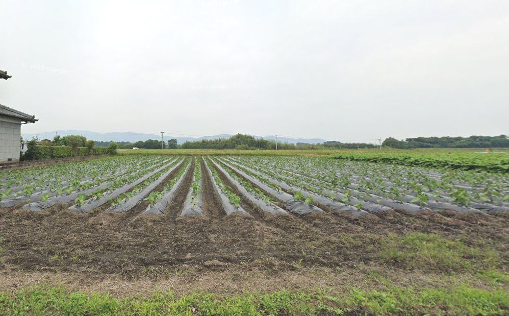 都城市大岩田町の売地