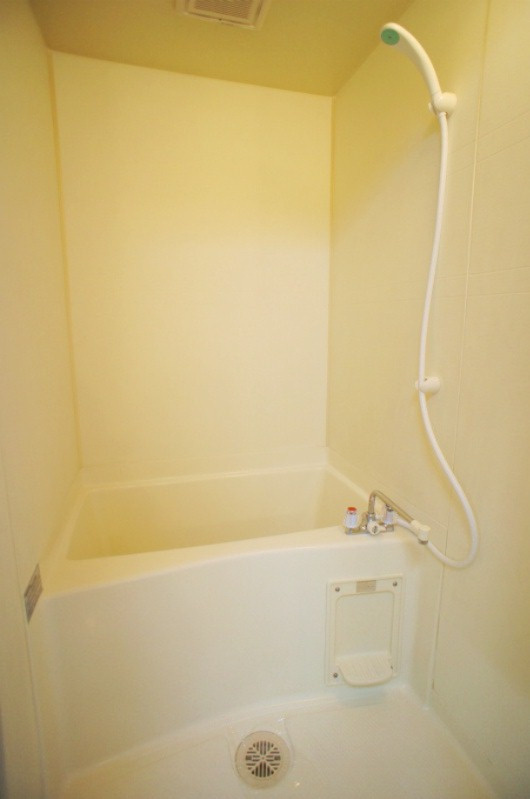 ハミルトン21【キャッシュバック対象物件】の浴室