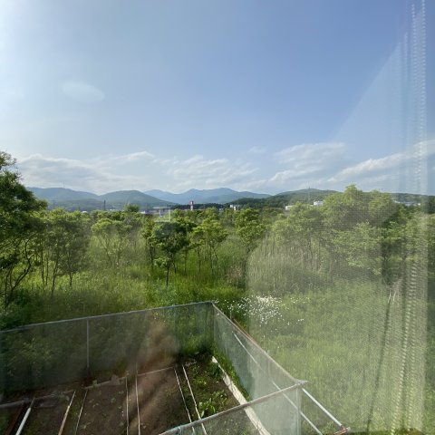 ホワイトステージの展望