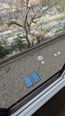 【庭】 | ヴェール桃山