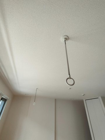 アマービリスのその他