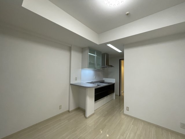 マスターズレジデンス道頓堀Ⅱのキッチン