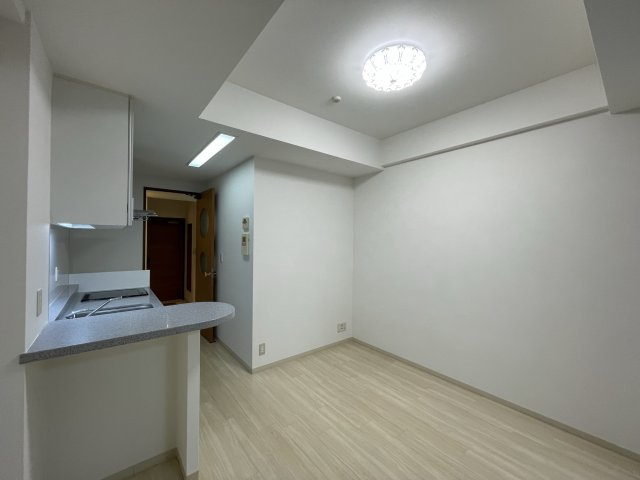 マスターズレジデンス道頓堀Ⅱの内装