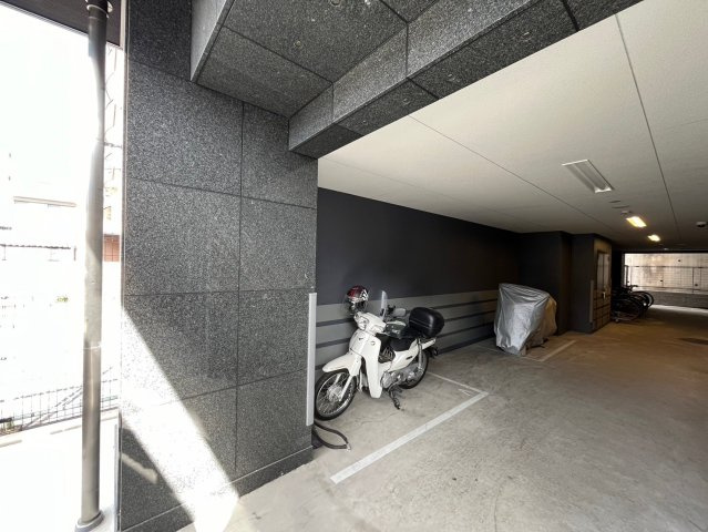 ディアレイシャス金山のその他