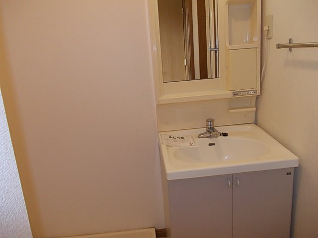 ヴィレッジ　トミタ　Ｄの洗面所