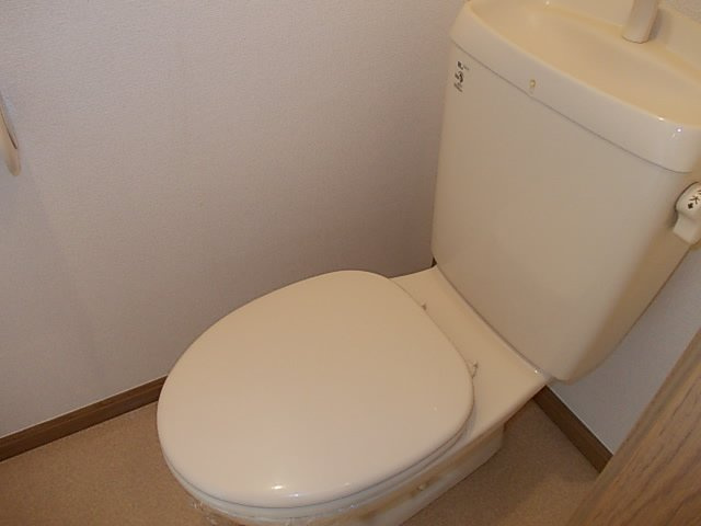 ヴィレッジ　トミタ　Ｄのトイレ