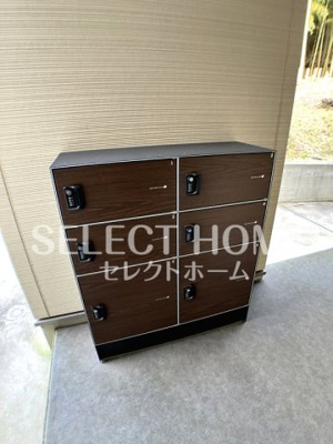  | フォレストリオ