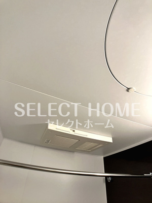  | フォレストリオ