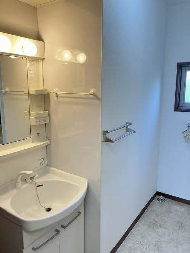 プレジールA棟の洗面所