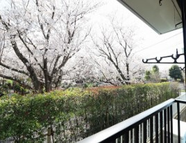 MKエクセルの展望