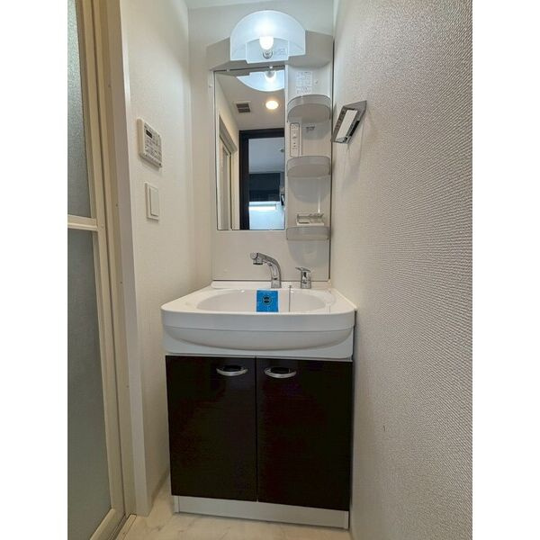 エステムコート名古屋金山ミッドクロスの洗面所