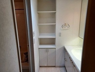 【独立洗面台】 | アスコットパーク錦糸町グレイス