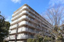 読売ランド前ハイデンスの画像