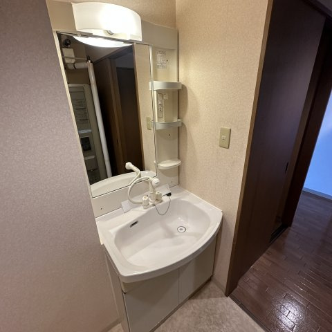 秀弐番館の洗面所