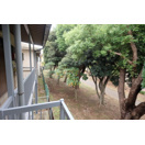 【展望】 | 中央マンション | 廊下側は千葉公園に面しています