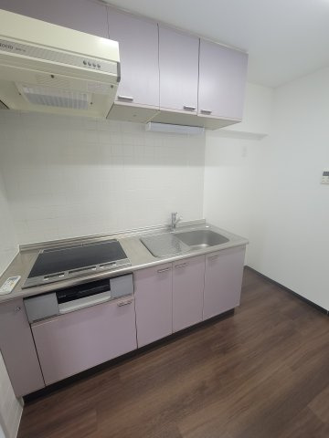 サウスウッド（SOUTHWOOD）のキッチン|※別部屋の写真です。