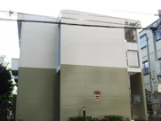 グレースの画像