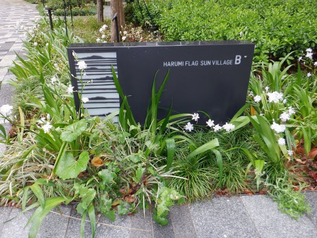 HARUMI FLAG SUN VILLAGE B棟の外観
