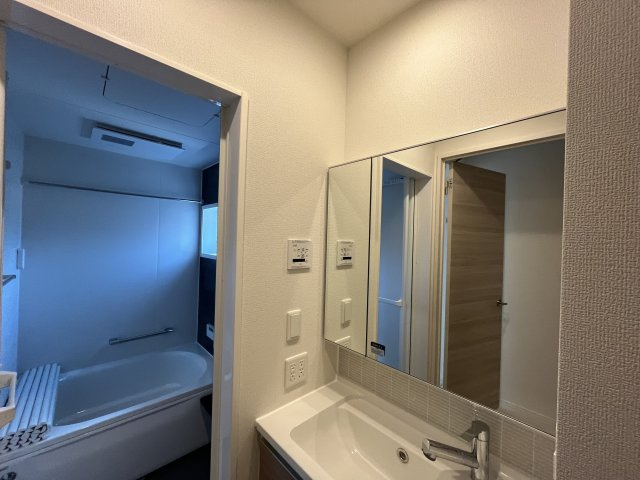 Sansevieria夏原のその他